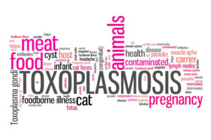 Screening Toxoplasmosi